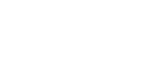 logo wordpress